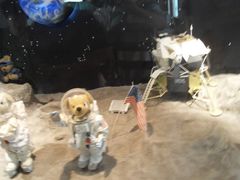 -济州岛泰迪熊博物馆