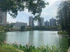 -四海公园(南山区)