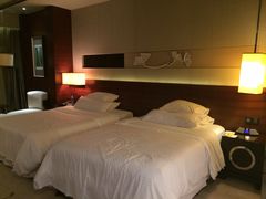 -广交会威斯汀酒店