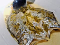 大黄鱼-麟1929(外滩店)