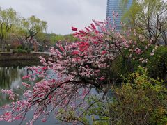 -无锡蠡湖国家湿地公园-蠡园