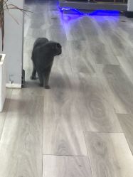 -KIMI HAIR SALON·烫染设计店