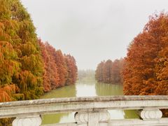 -上海海湾国家森林公园