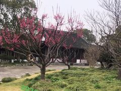 -上海海湾国家森林公园