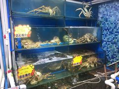 水产区-蚝专家(北滘店)