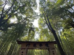 -大奇山国家森林公园
