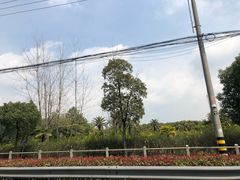 景点-美兰湖景区