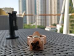 -诺莱仕游艇会