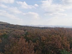 -灵谷景区