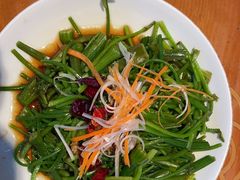 -菌自由丨野生菌火锅特色庭院餐厅(丽江古城店)