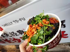 -黑色经典臭豆腐·湖南特产(坡子街店)