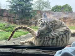 -杭州野生动物世界