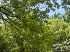 -云龙湖旅游景区