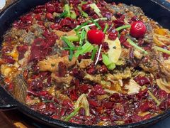 -老板恋上鱼(恒隆广场店)