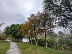 -三垟湿地