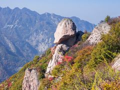 -秦岭风景区