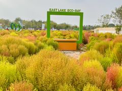 -天津东丽湖风景区