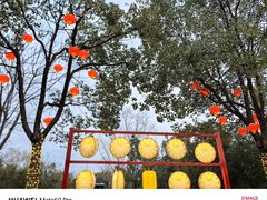 -武汉园博园(武汉自然博物馆)