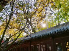 -嵩祝寺及智珠寺