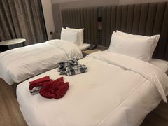-城际上海虹桥机场酒店