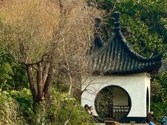 -红梅公园