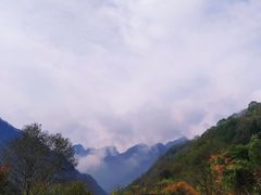 -陕西省红河谷森林公园