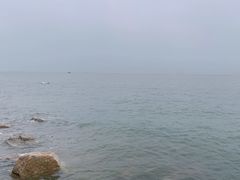 -野狸岛
