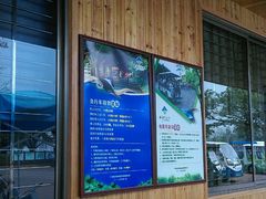 -大湾区中央湿地公园