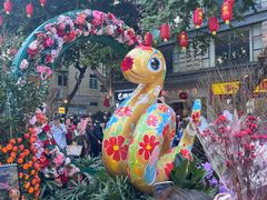 -越秀西湖花市(广州城市广场花卉店)