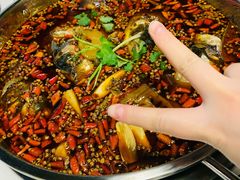 味之绝美蛙-味之绝热血美蛙鱼火锅(中坝店)