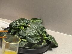 -海底捞火锅(吾悦广场店)