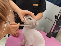 -FAELING PETS美天灵宠物(合生汇店)