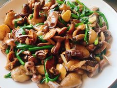 崂山菇炒肉-崂山水果园农家宴(泉水鸡店)