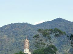 -深圳仙湖植物园