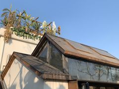 -悦哉·派对·草坪婚礼·围炉煮茶(三圣乡店)