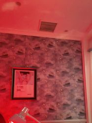 -静博士·养生养颜