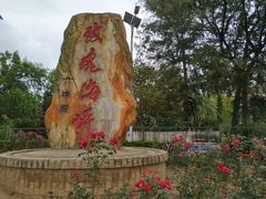 -玫瑰海岸文化旅游度假区