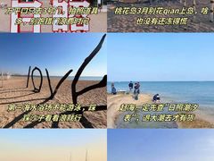 -日照海滨国家森林公园
