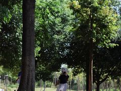 -嬉乐湾休闲旅游区