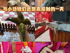-上海大自然野生昆虫馆(东方明珠·爬宠昆虫探索中心)