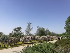 -永定河休闲森林公园