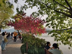 -北山街历史文化街区