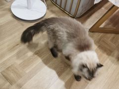 -董小姐咖妃·咖啡·简餐.意面(松江大学城店)