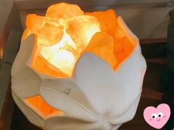 -芳香乐府疗愈空间·SPA·冥想