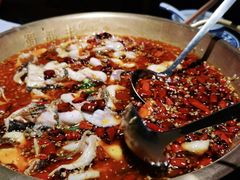 -蜀都丰 川菜·水煮活鱼(万象九宜城店)