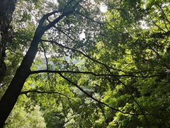 -九龙潭景区
