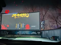 -枫花园汽车电影院(朝阳公园店)