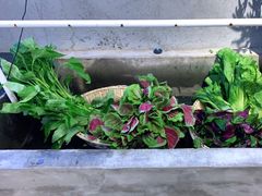 -九龙湾·御膳坊(九龙窠路店)