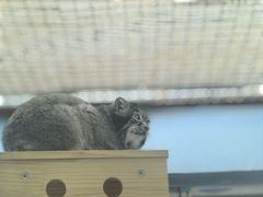 -青藏高原野生动物园