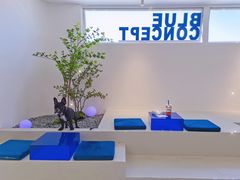 -Blue Concept Cafe&Farm·關於藍